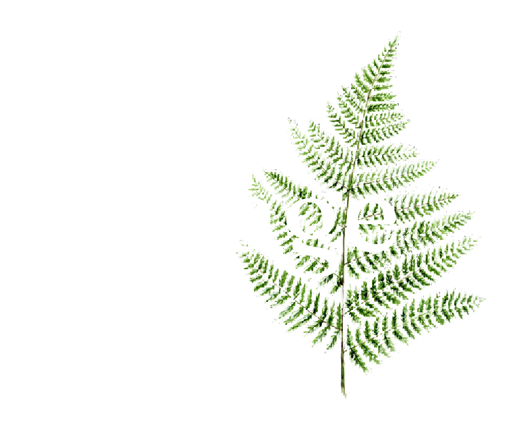 The Cottage in the Wood Keswick